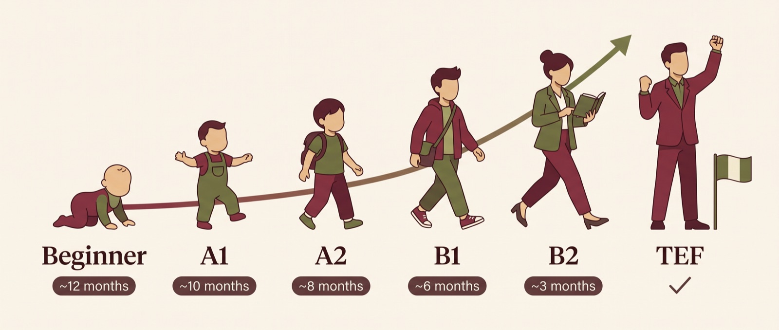 From beginner to TEF Canada: a learner growing from a crawling baby to a confident professional — roughly 12 months from zero, 6 months from B1, 3 months from B2